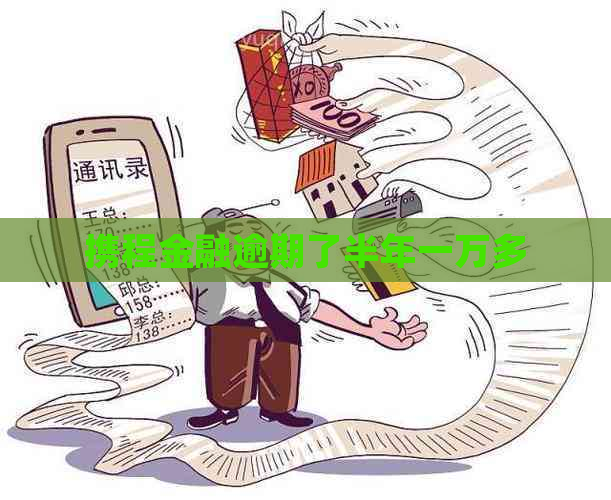 携程金融逾期了半年一万多