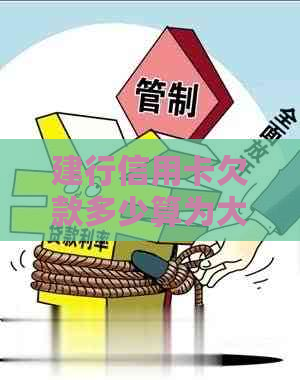 建行信用卡欠款多少算为大额欠款