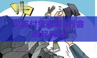 欠支付宝花呗2万会被起诉吗