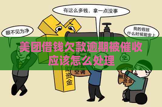 美团借钱欠款逾期被应该怎么处理