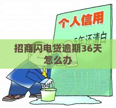 招商闪电贷逾期36天怎么办