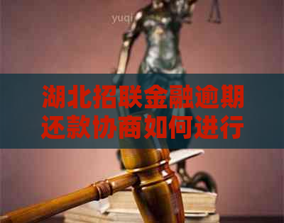 湖北招联金融逾期还款协商如何进行