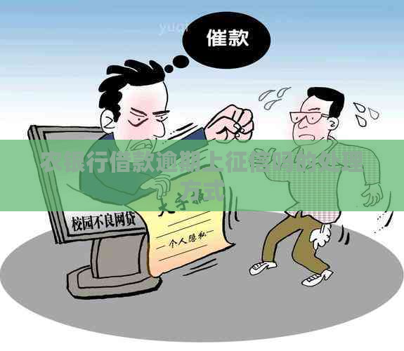 农银行借款逾期上吗的处理方式