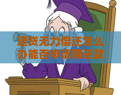 速贷无力偿还怎么办能否申请期还款