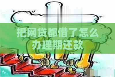 把网贷都借了怎么办理期还款