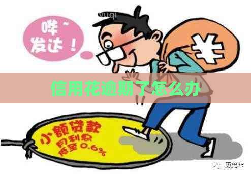 信用花逾期了怎么办