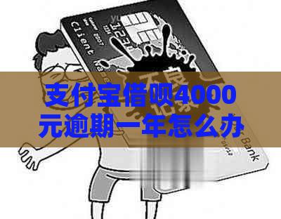 支付宝借呗4000元逾期一年怎么办