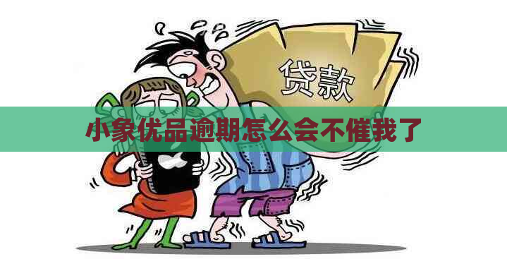 小象优品逾期怎么会不催我了