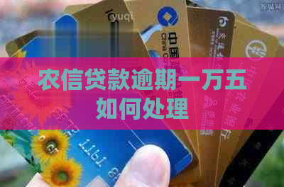 农信贷款逾期一万五如何处理