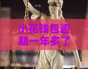 小花钱包逾期一年多了