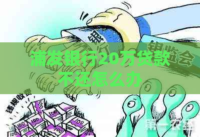 浦发银行20万贷款不还怎么办