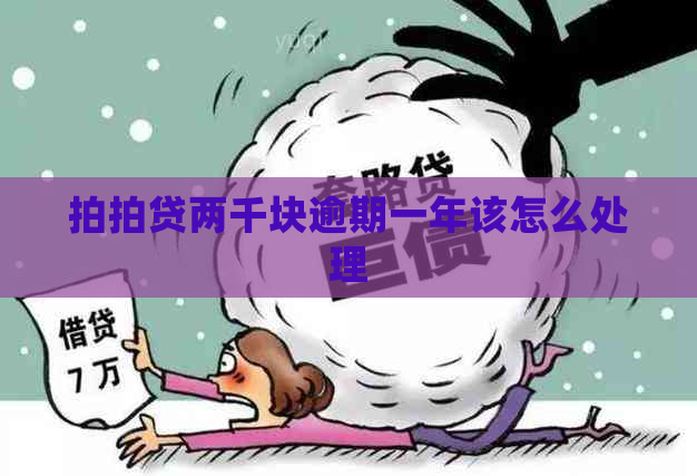 两千块逾期一年该怎么处理