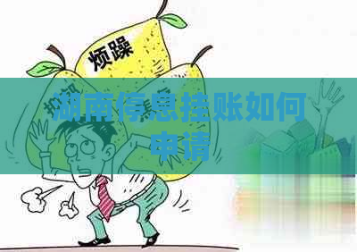 湖南停息挂账如何申请
