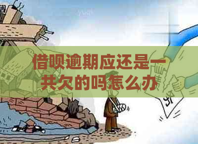 借呗逾期应还是一共欠的吗怎么办