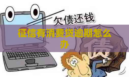 有消费贷逾期怎么办