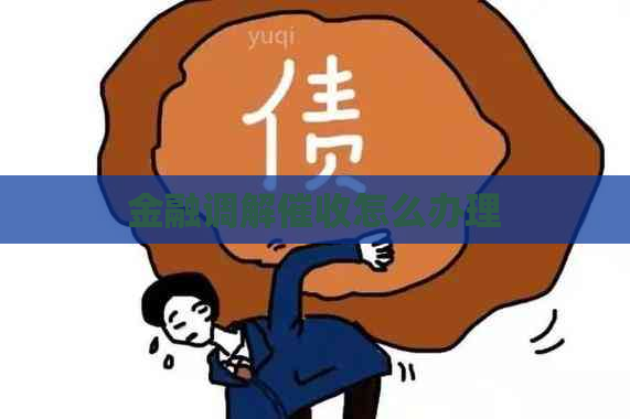 金融调解怎么办理