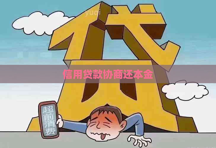 信用贷款协商还本金