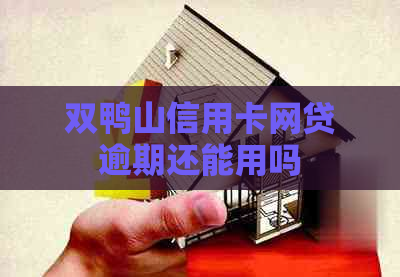 双鸭山信用卡网贷逾期还能用吗