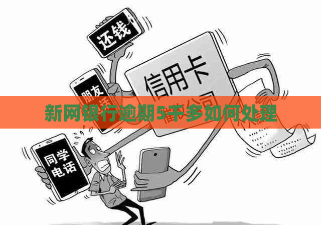 新网银行逾期5千多如何处理