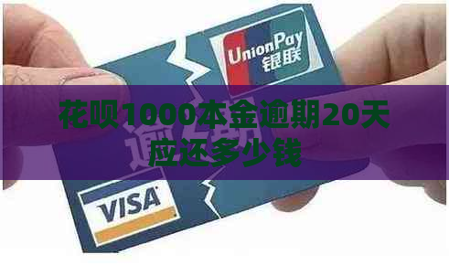 花呗1000本金逾期20天应还多少钱