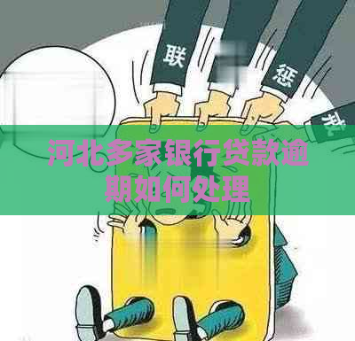 河北多家银行贷款逾期如何处理