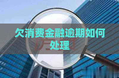 欠消费金融逾期如何处理