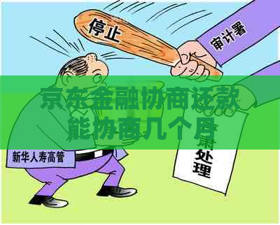 京东金融协商还款能协商几个月