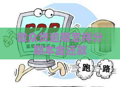 微众贷逾期怎样分期本金还款