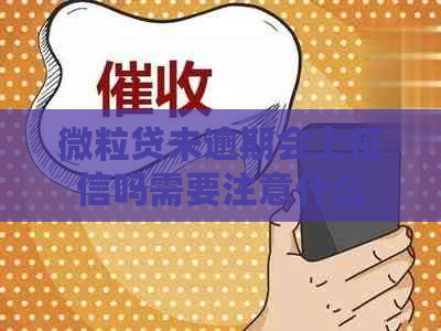 微粒贷未逾期会上吗需要注意什么