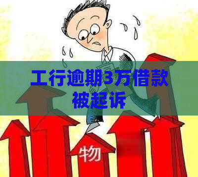 工行逾期3万借款被起诉