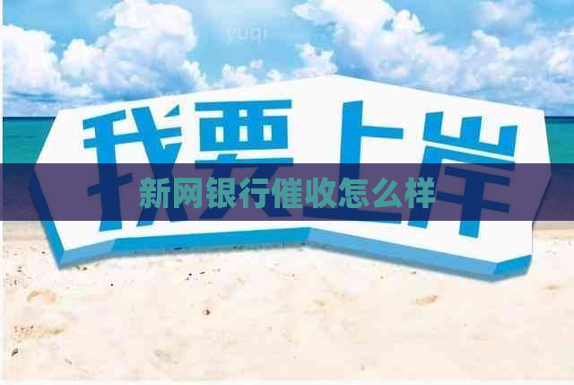 新网银行怎么样