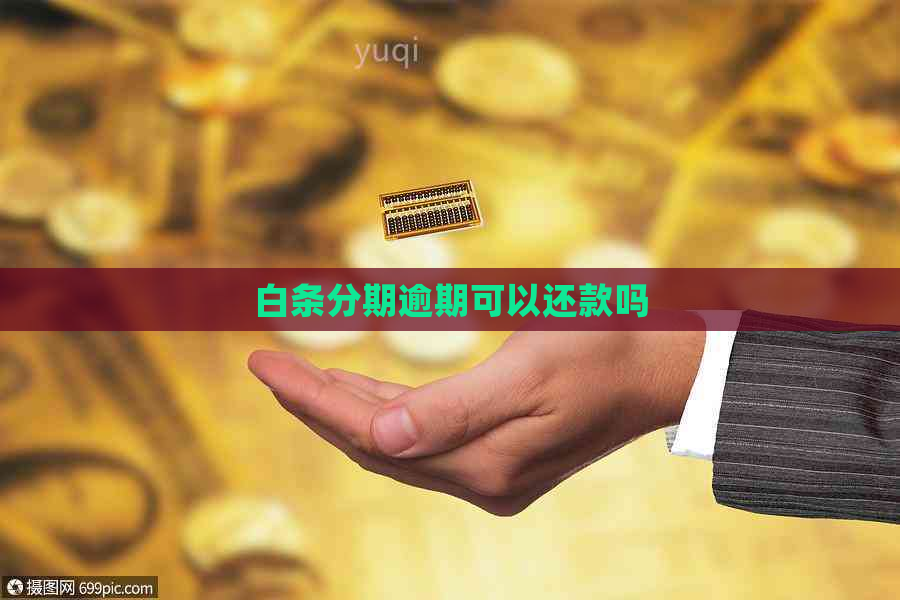 白条分期逾期可以还款吗