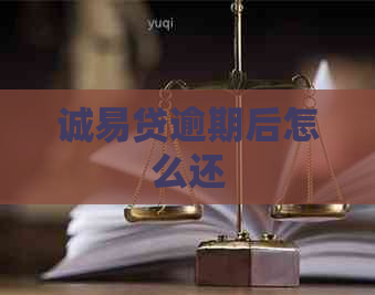 诚易贷逾期后怎么还