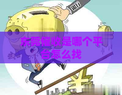 东莞是哪个平台怎么找
