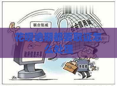 花呗逾期都要取证怎么处理