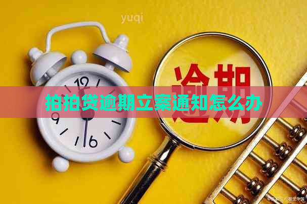 逾期立案通知怎么办