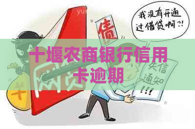十堰农商银行信用卡逾期