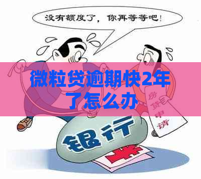 微粒贷逾期快2年了怎么办