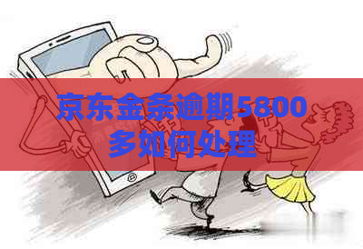 京东金条逾期5800多如何处理