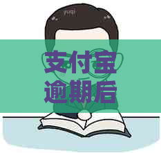 支付宝逾期后应该怎么应对