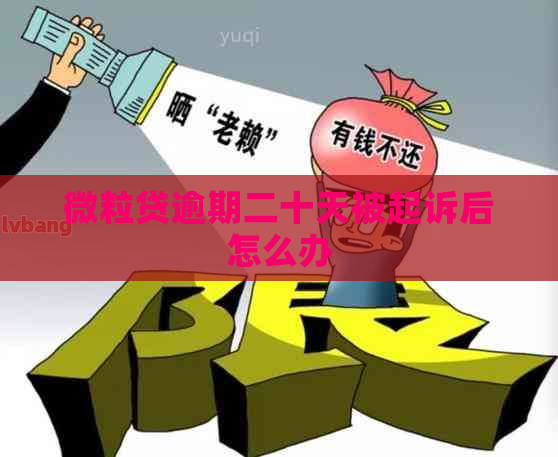 微粒贷逾期二十天被起诉后怎么办