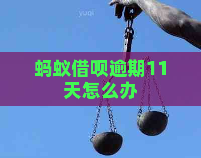 蚂蚁借呗逾期11天怎么办