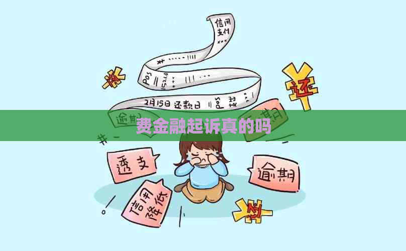 费金融起诉真的吗