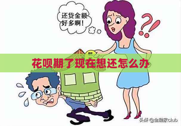 花呗期了现在想还怎么办