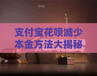 支付宝花呗减少本金方法大揭秘