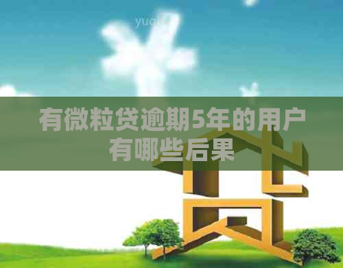 有微粒贷逾期5年的用户有哪些后果