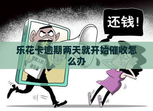 逾期两天就开始怎么办