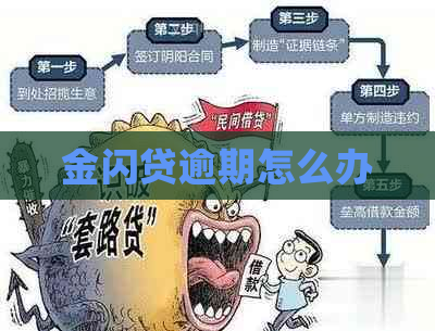 金闪贷逾期怎么办