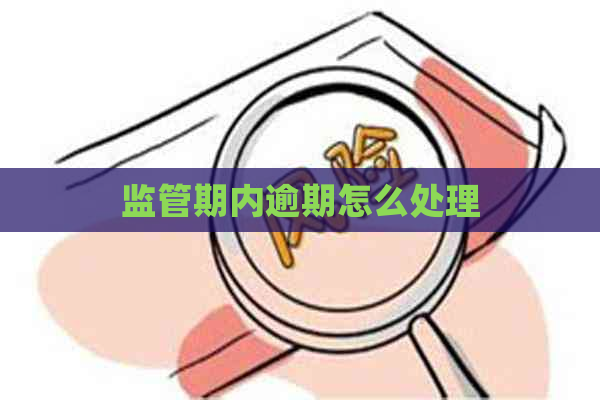 监管期内逾期怎么处理