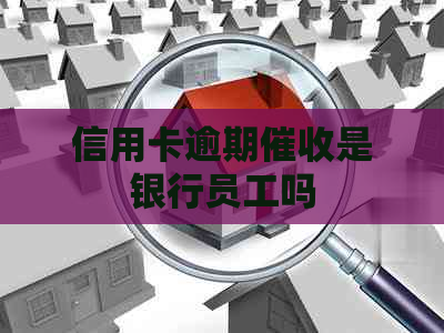 信用卡逾期是银行员工吗
